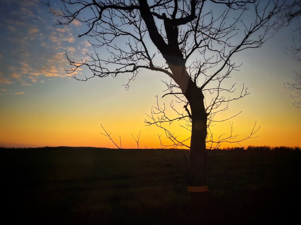 Photograph by Бравичева Анастасия