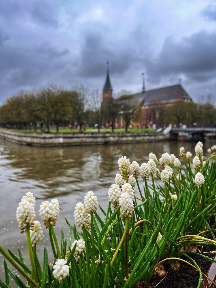 Photograph by Бравичева Анастасия