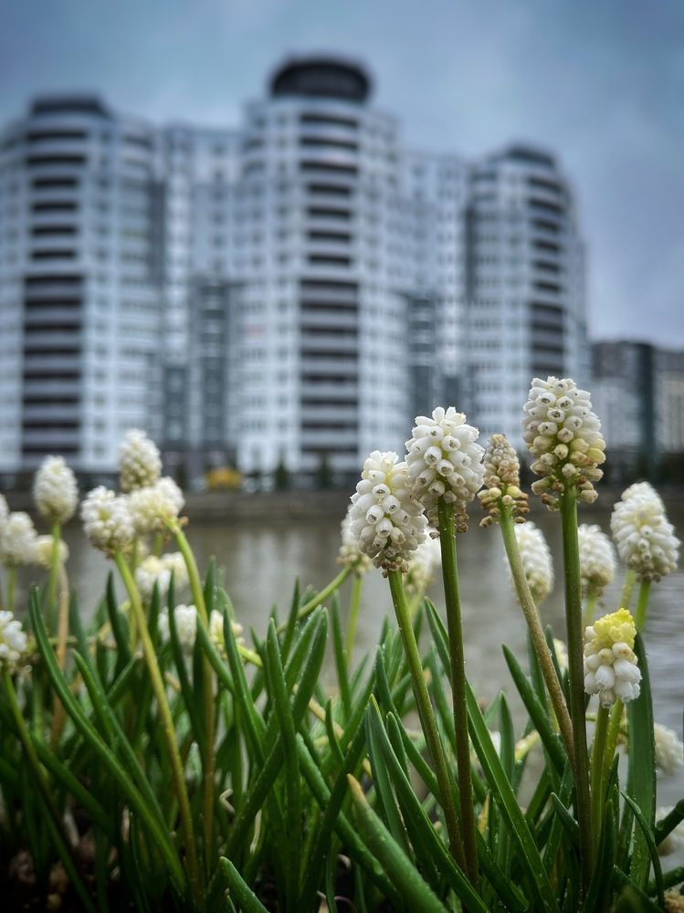 Photograph by Бравичева Анастасия