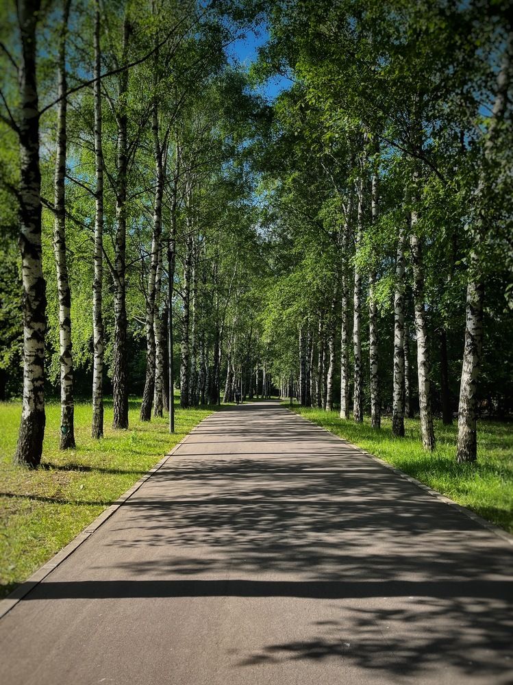 Photograph by Бравичева Анастасия