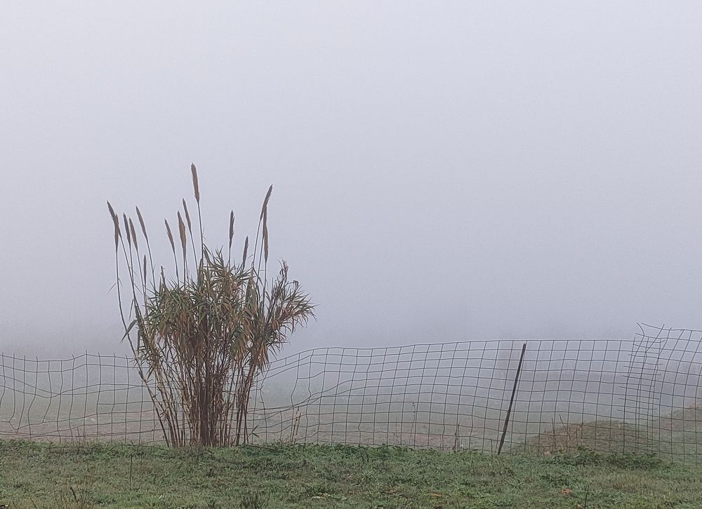 Photograph by Kaouche Mohamed