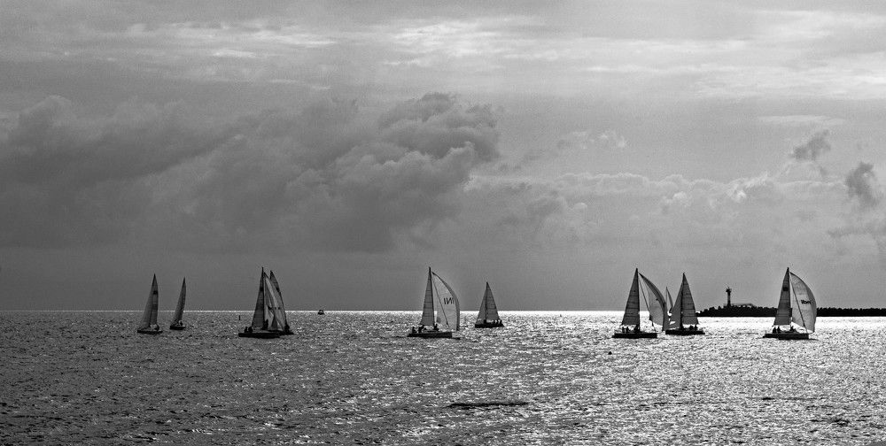 Перед бурей