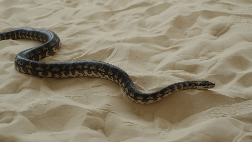 Photograph by Elvira Magsumova