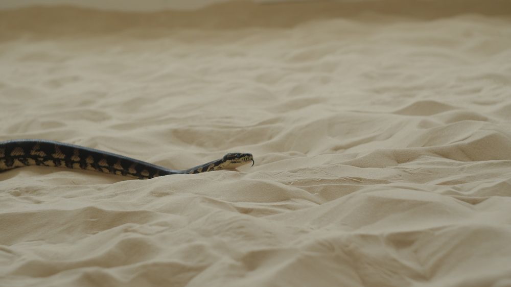 Photograph by Elvira Magsumova