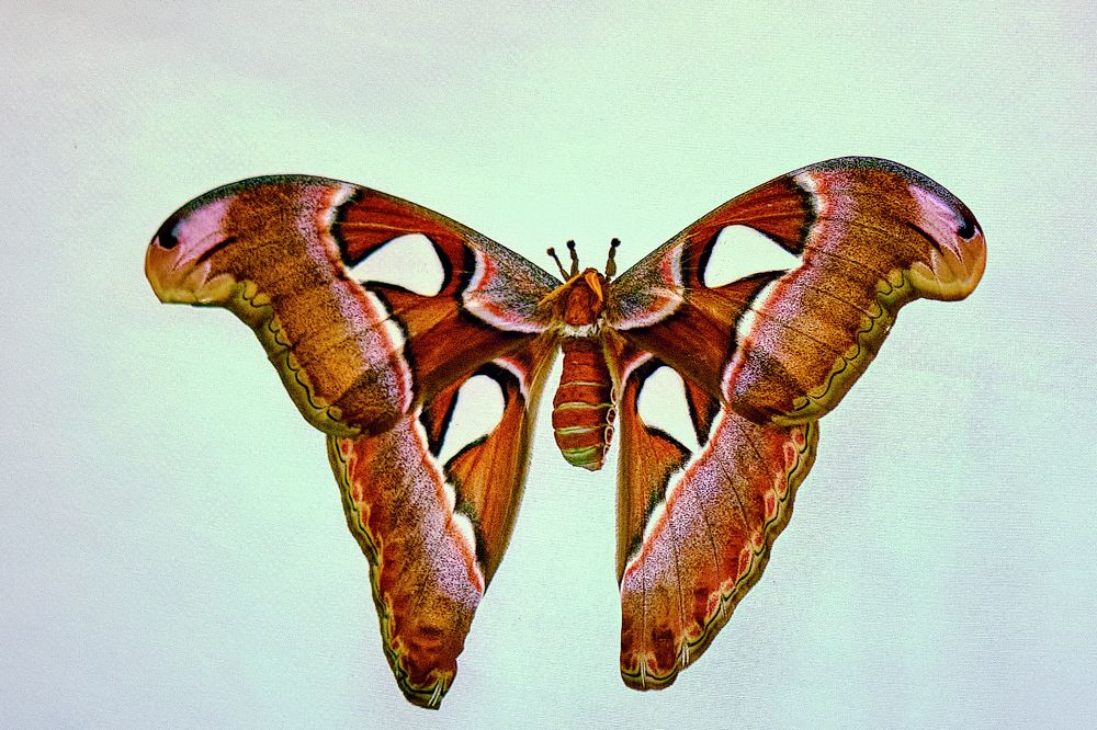 Photograph by Андрей Барышников