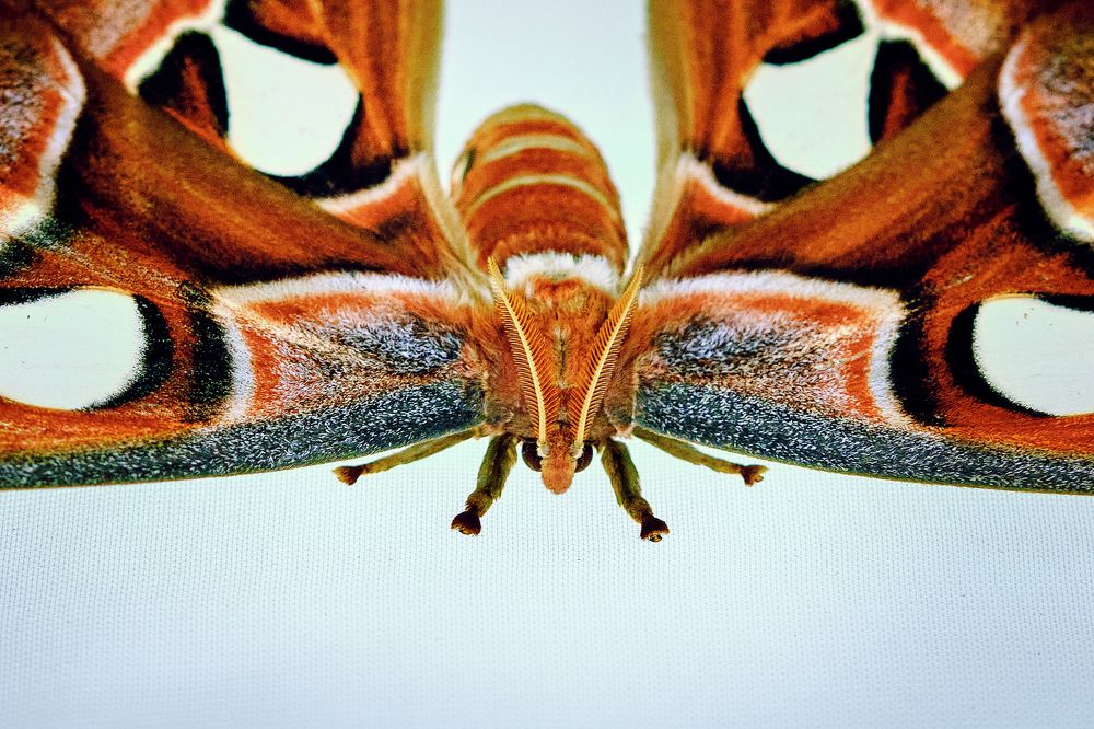 Photograph by Андрей Барышников