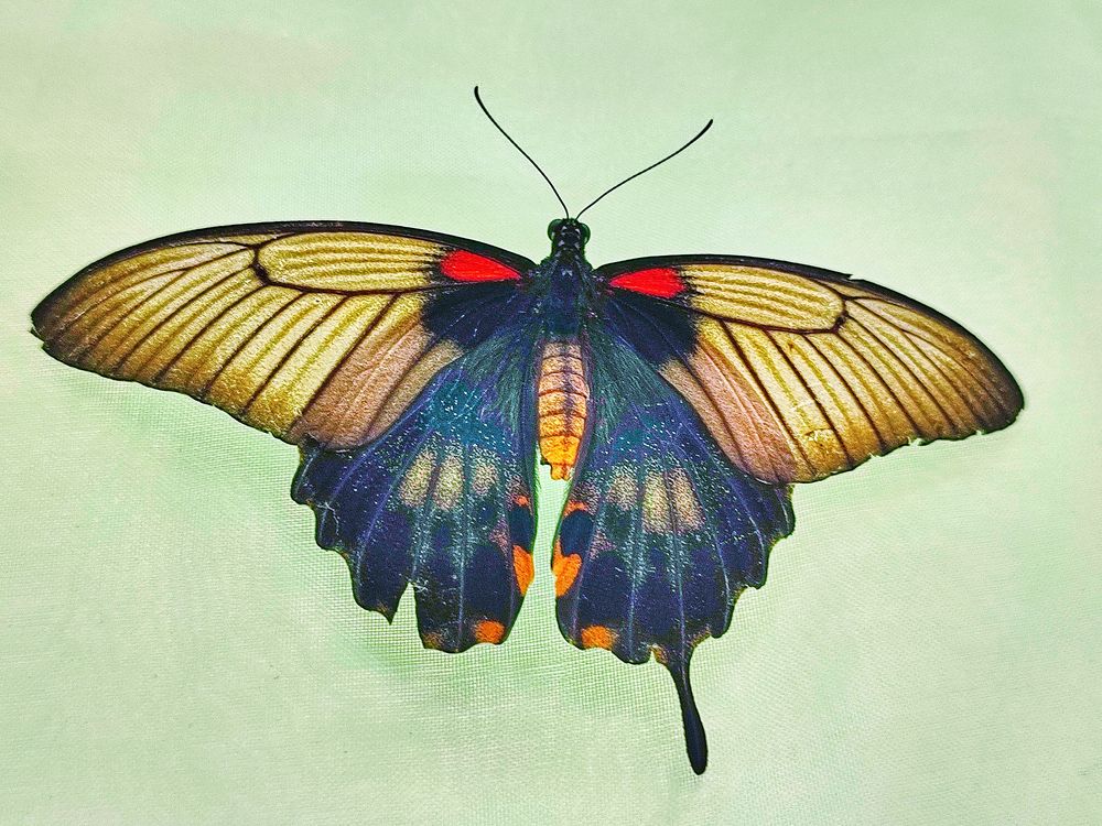 Photograph by Андрей Барышников