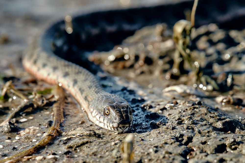 Photograph by Андрей Барышников