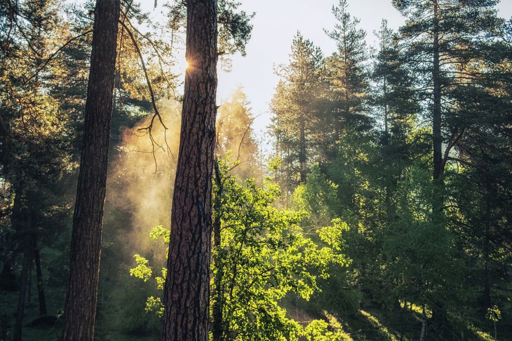 Photograph by Андрей Барышников