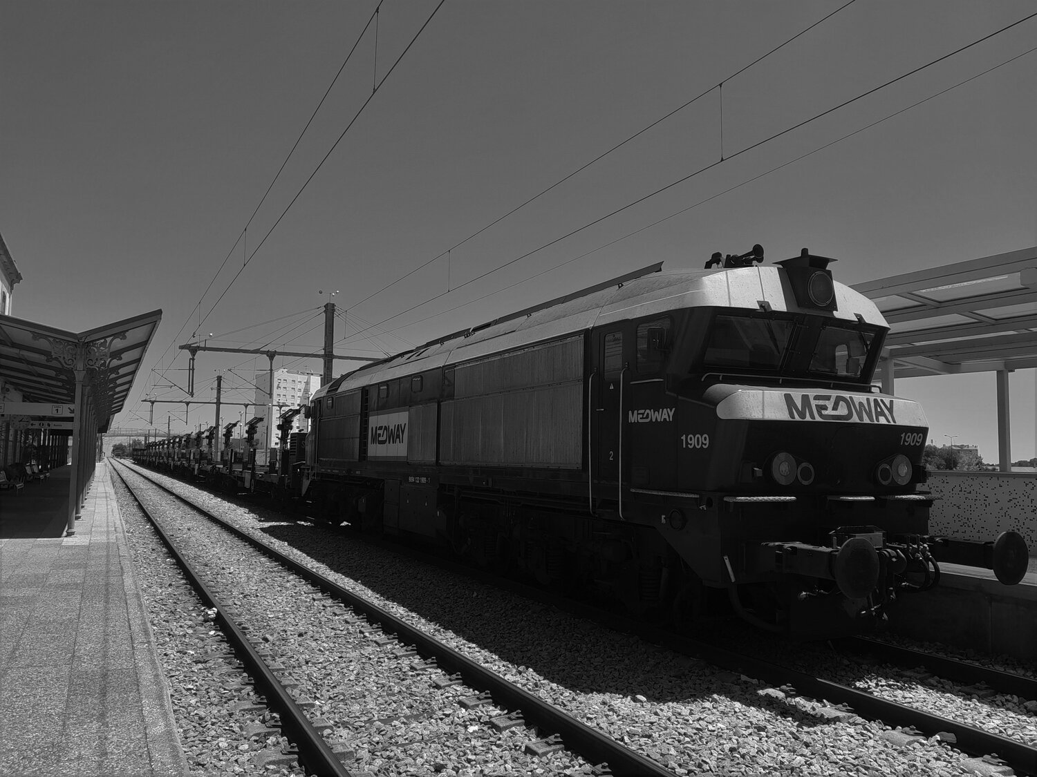 Photo #9248560