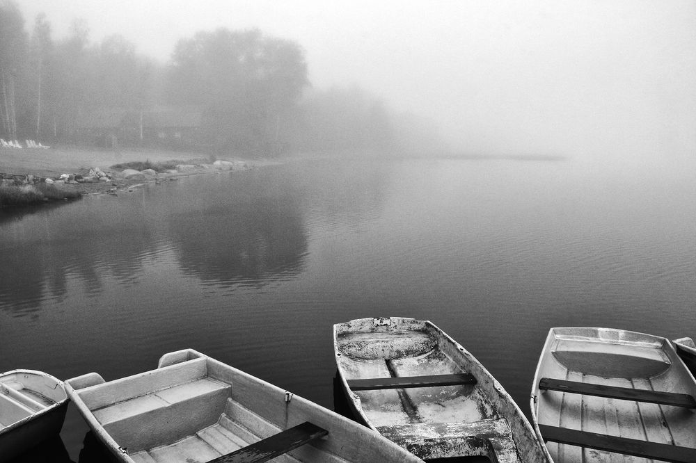 Фотография автора Елена Лаврова