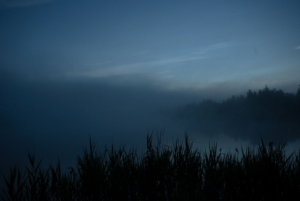 Photograph by Дмитрий Павлов