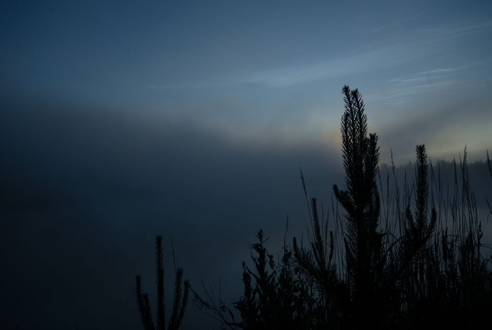 Photograph by Дмитрий Павлов