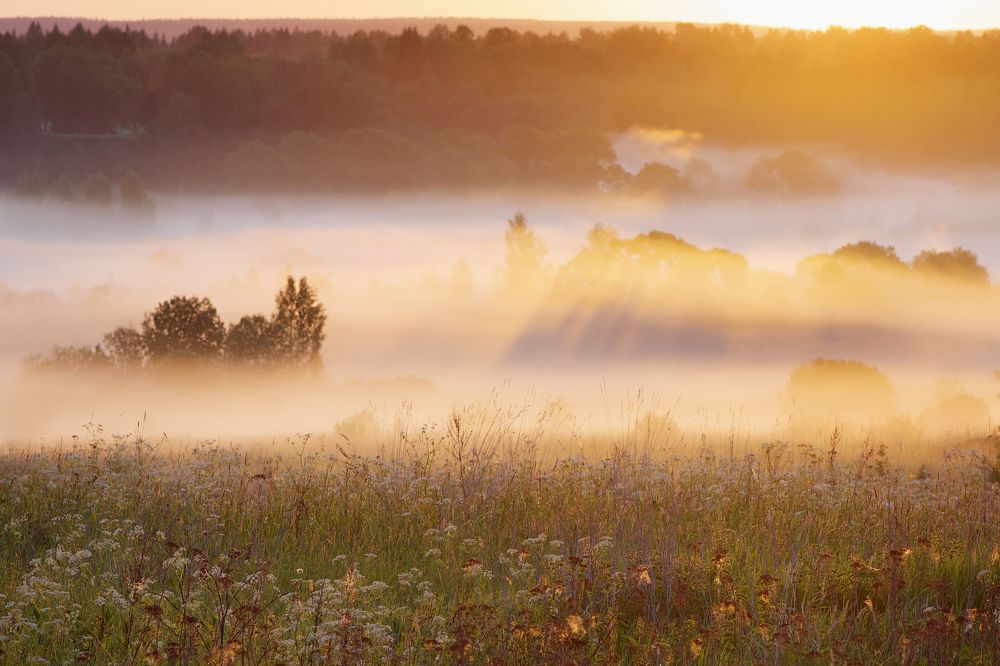 Фотография автора Ольга Белоусова
