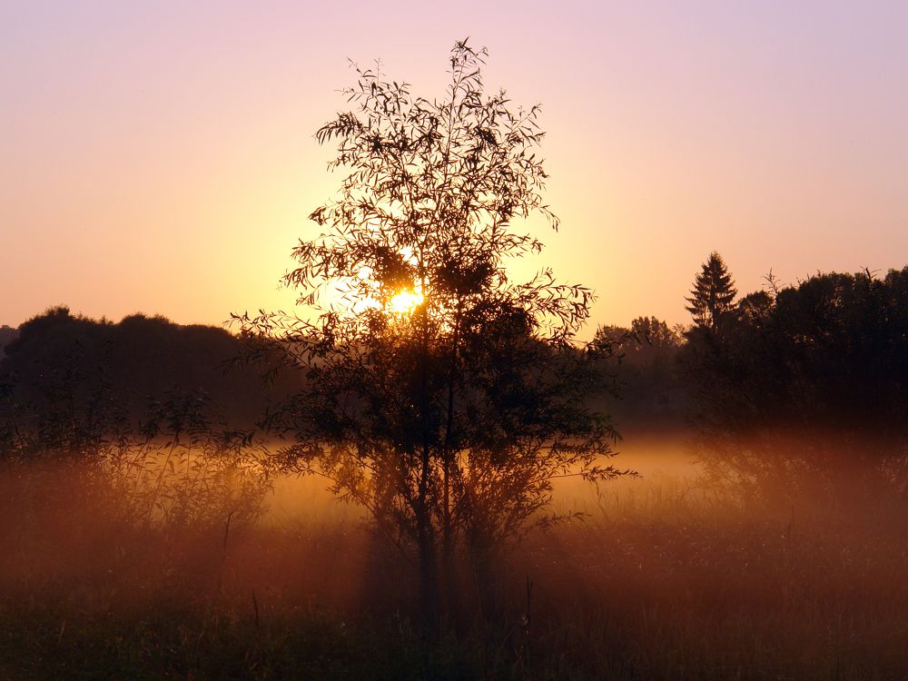 Photograph by Игорь Шевердин