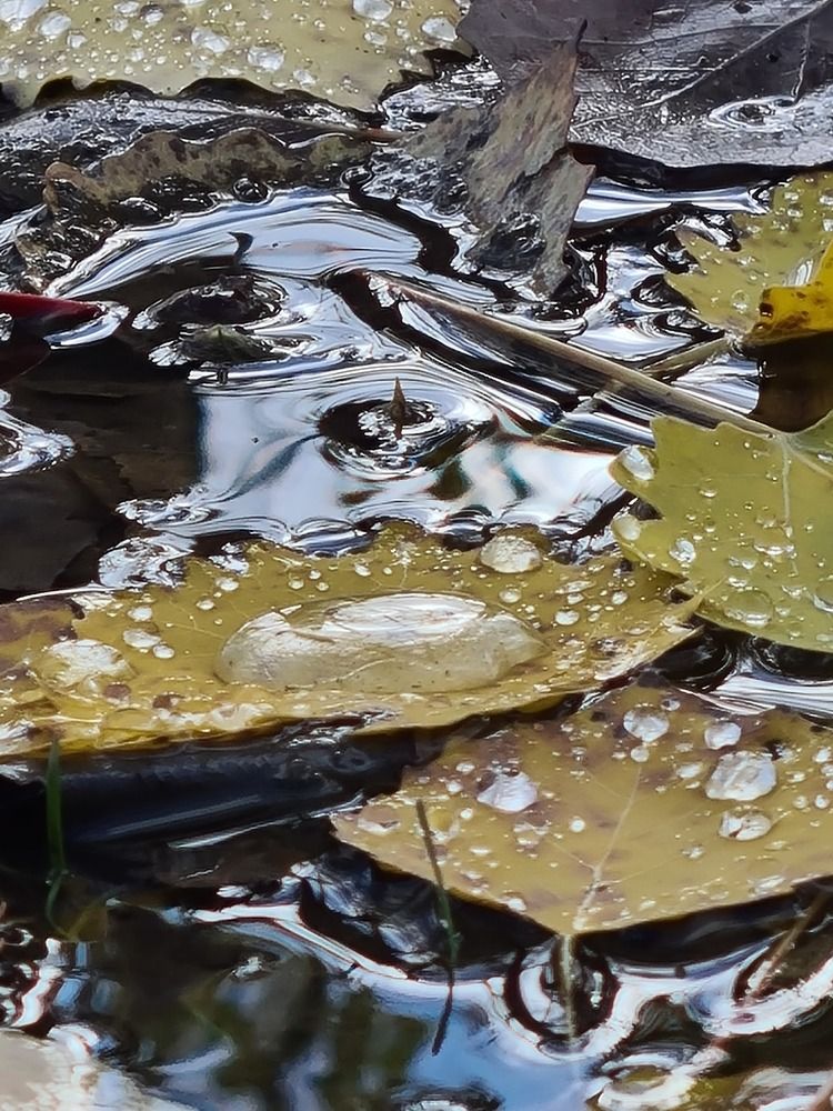 Photograph by Наталья Каплина