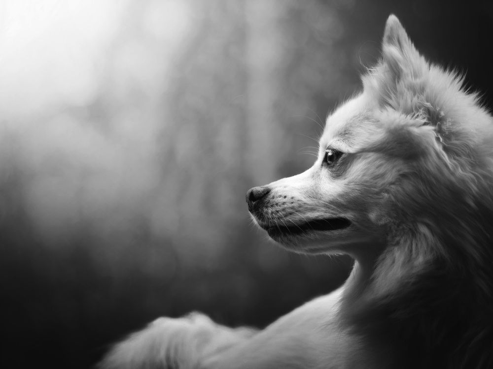 Photograph by Dorota Hnatová