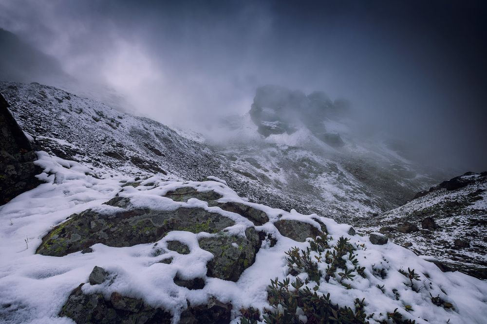 Photograph by Юрий Головченко