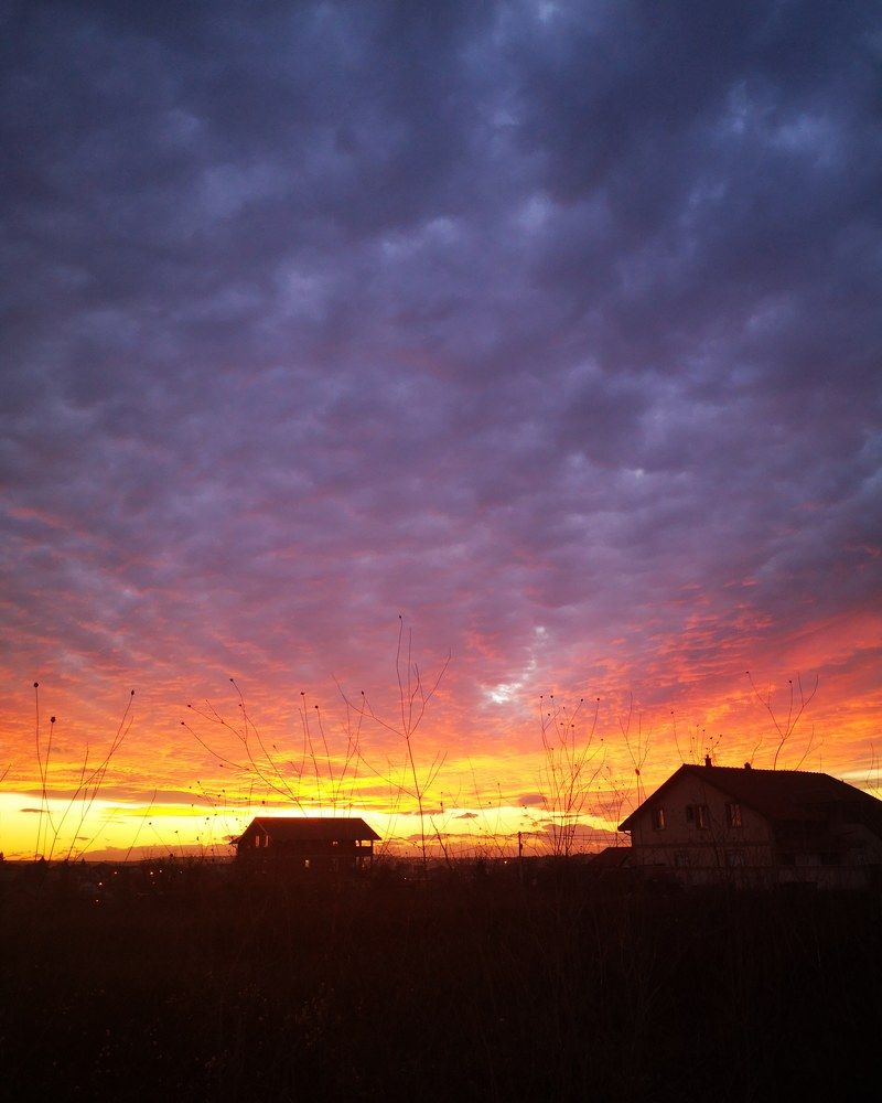 Photograph by Marijana Petrovic