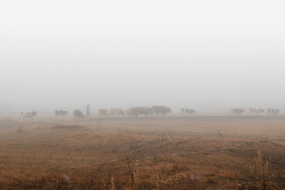 Photograph by Vitaliy Saposhnikov