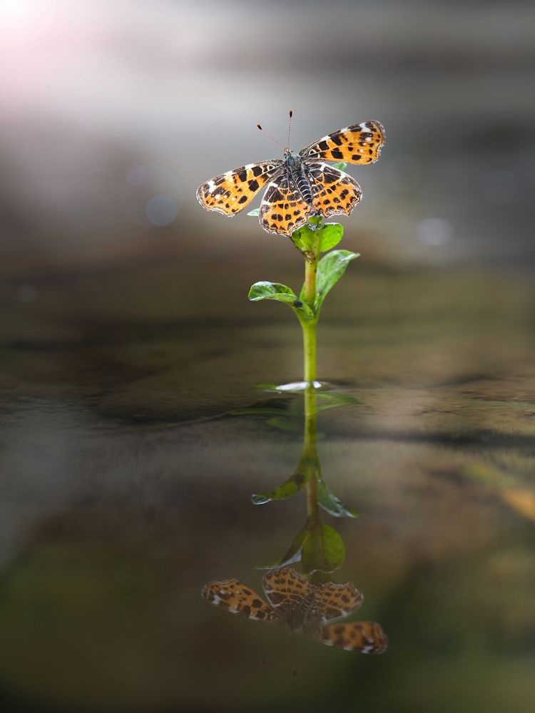 Photograph by Лукашук Евгений