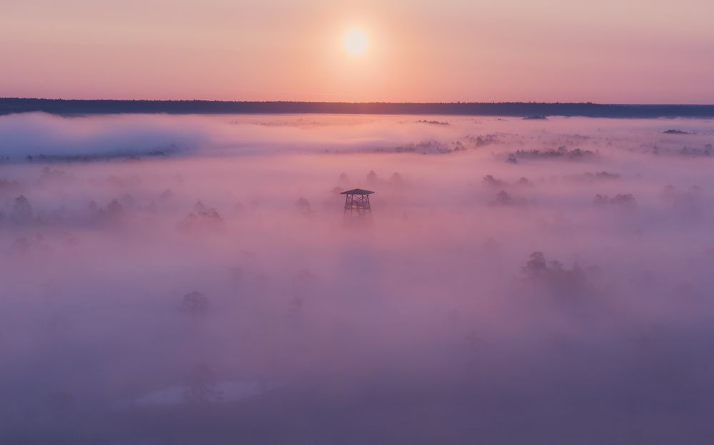 Photograph by Nikolai Mordan