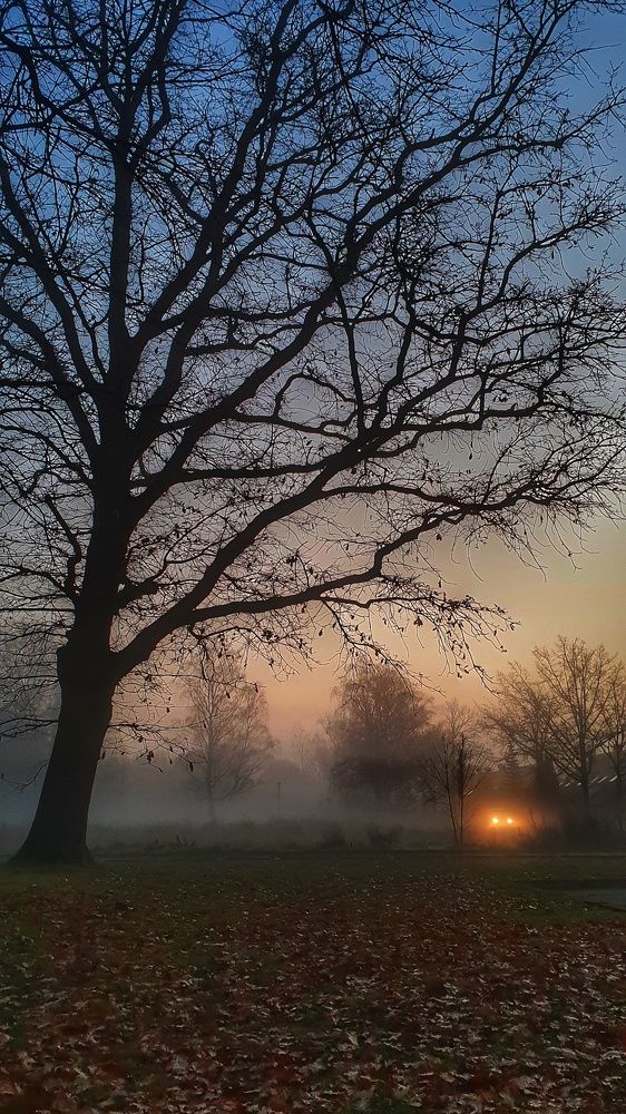 Photograph by Nelli Polle