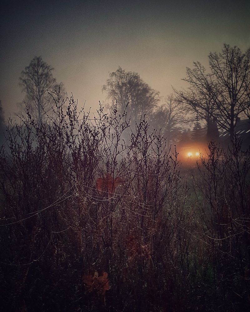 Photograph by Nelli Polle