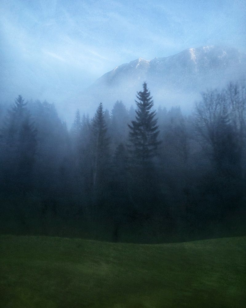 Photograph by Nelli Polle