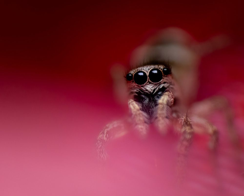 Photograph by Данила Черных