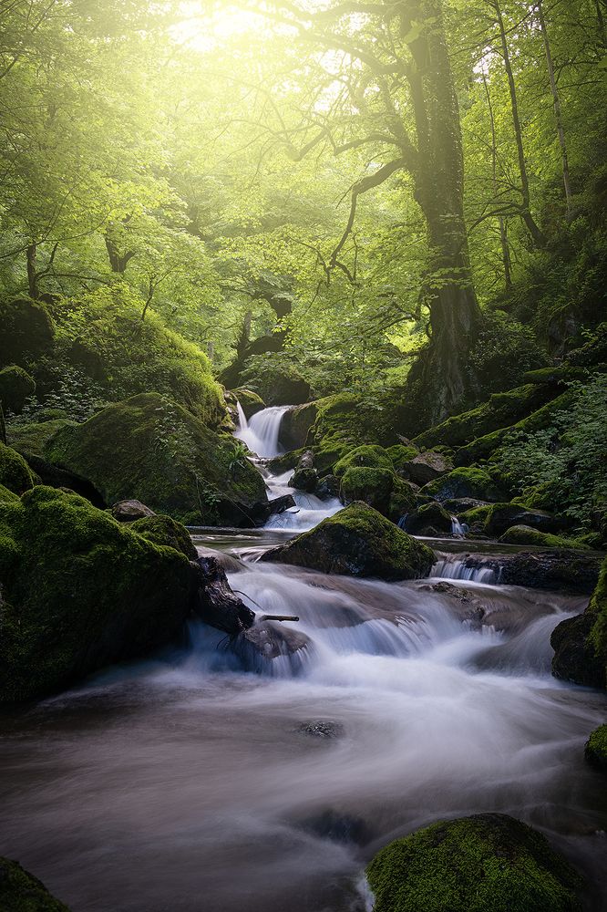 Green and Waterfall 2