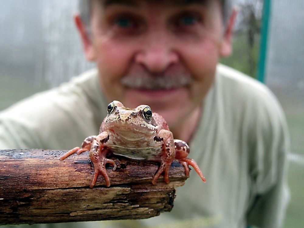 Photograph by Александр Лазебник