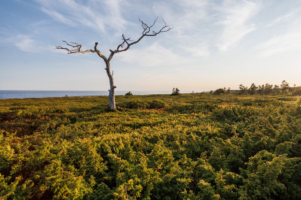 Фотография автора Андрей Русских