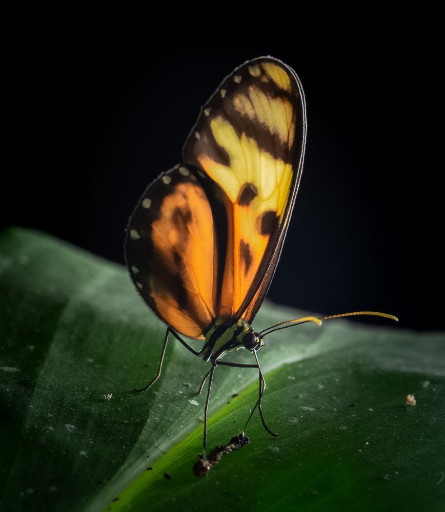 Photograph by Diego Valbuena