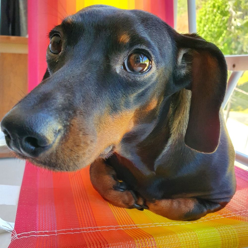 Photograph by Dâmaris Ferrão