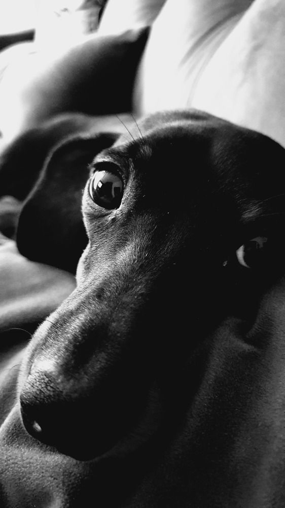 Photograph by Dâmaris Ferrão