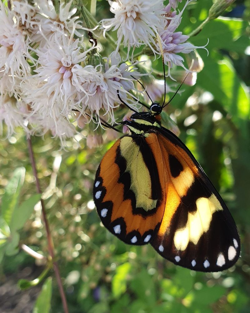 Photograph by Dâmaris Ferrão
