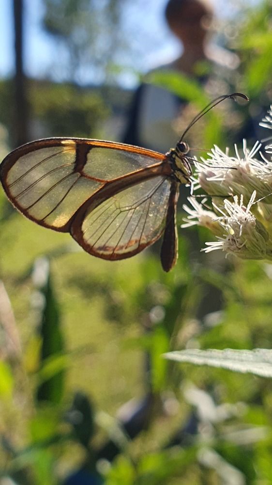 Photograph by Dâmaris Ferrão