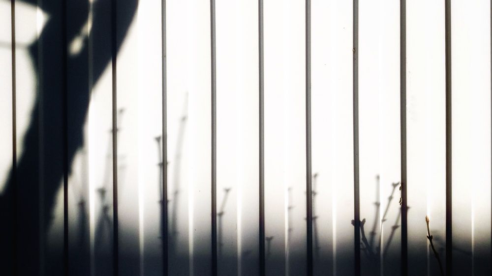 Photograph by Ирина Алпацкая