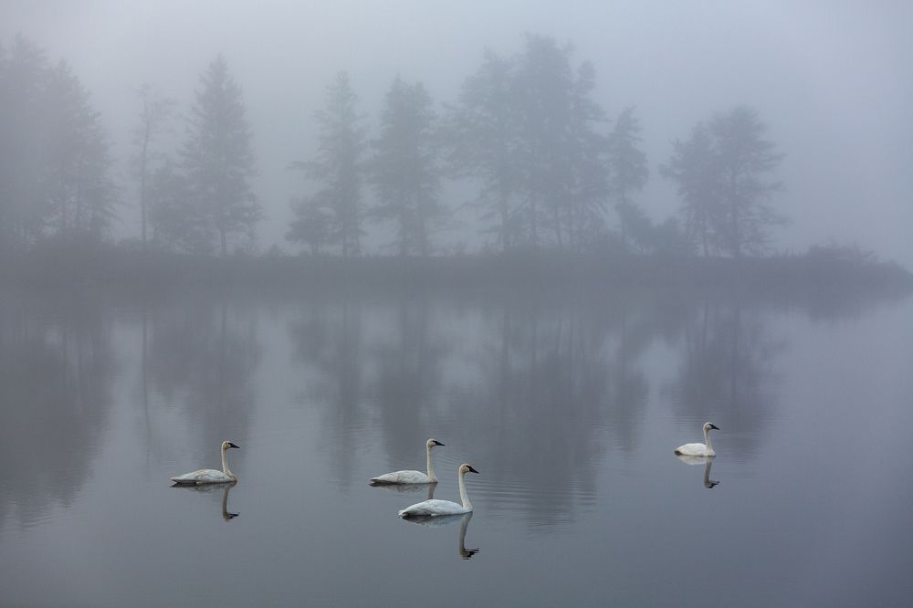 Photograph by Vladimir Vorobeychik