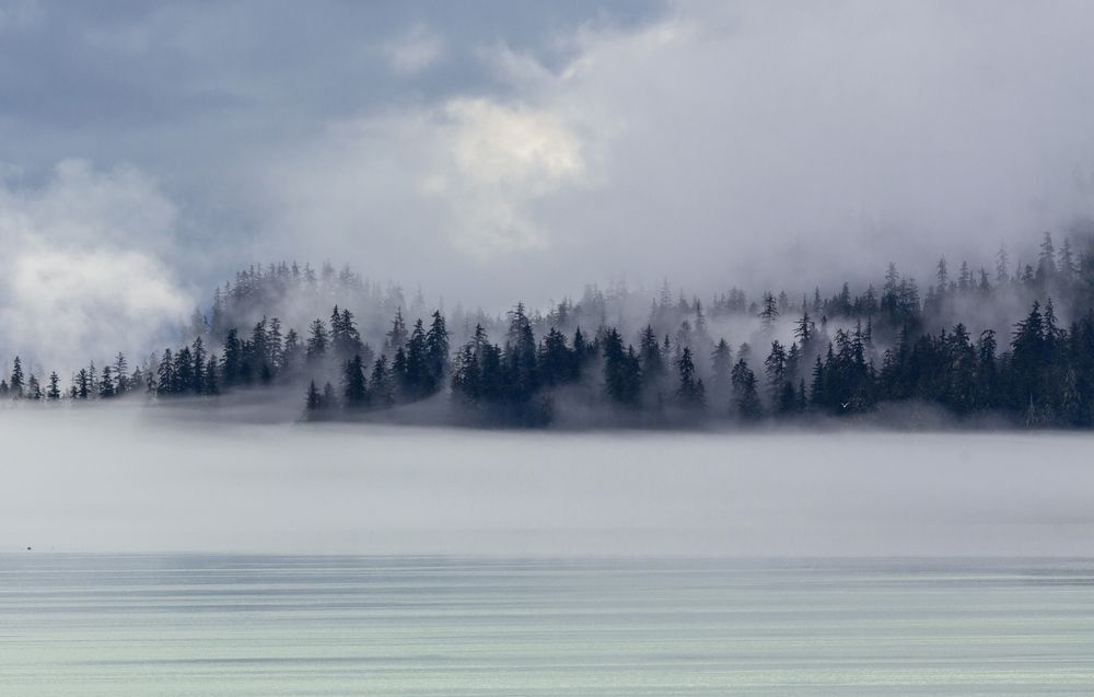 Photograph by Vladimir Vorobeychik