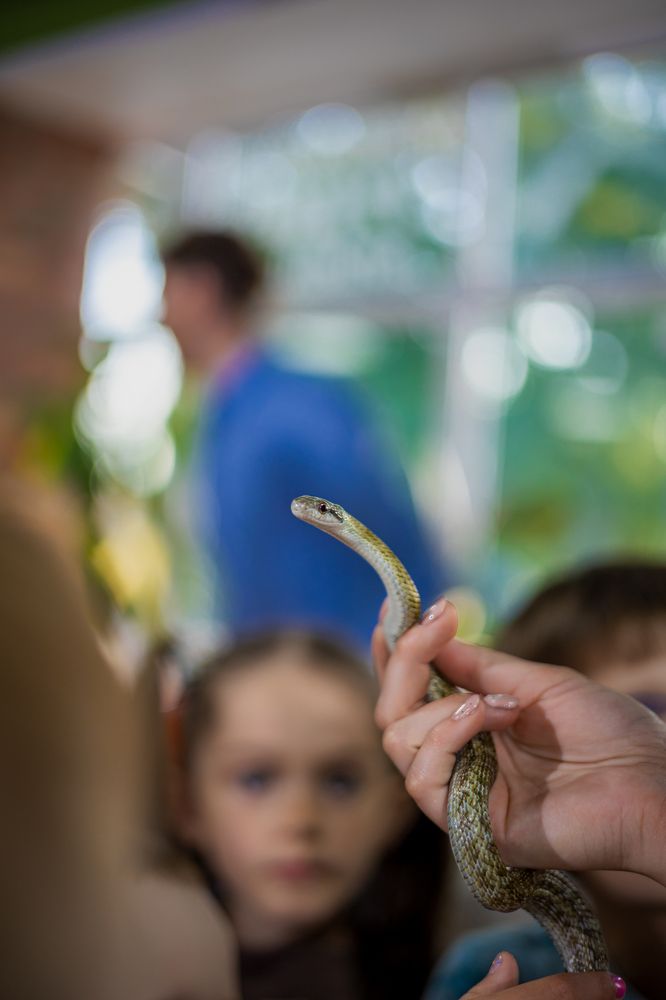 Photograph by Князев Сергей