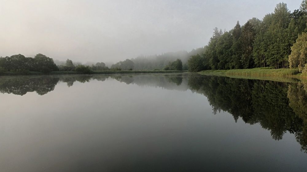 Photograph by Инна Демкив