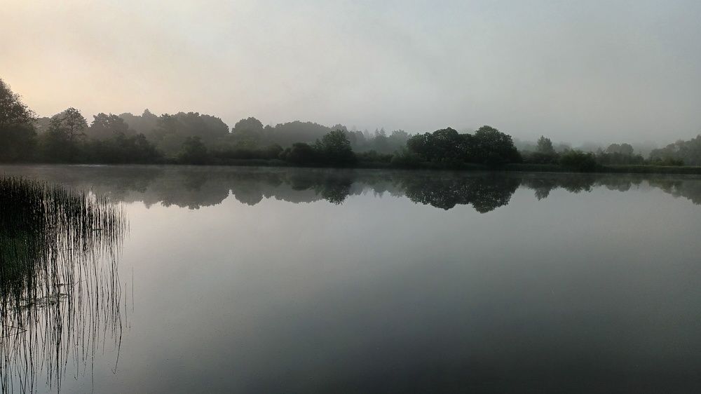 Photograph by Инна Демкив