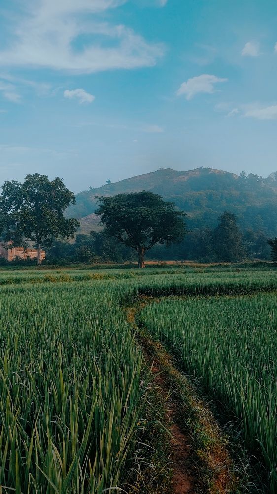 Photograph by PRAKASH KUMAR MAHATO