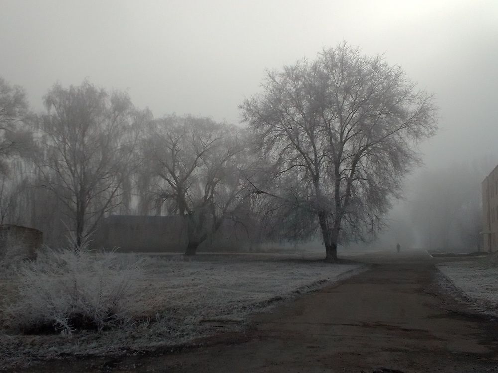 Photograph by Sergey Velichko