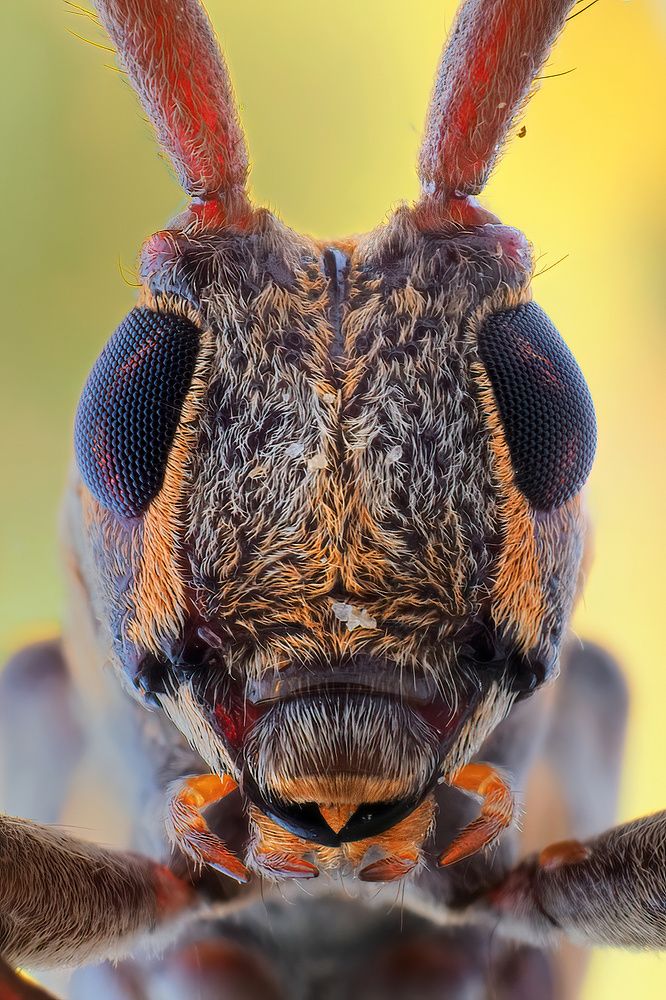 Photograph by Chen-You Li