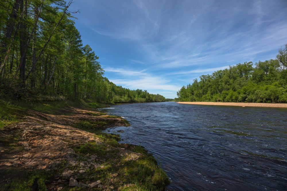 Река летом