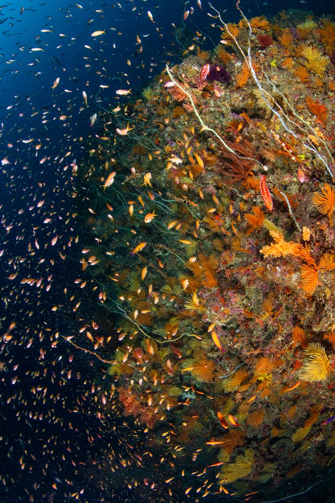 Photograph by HITOMI TSUCHIYA