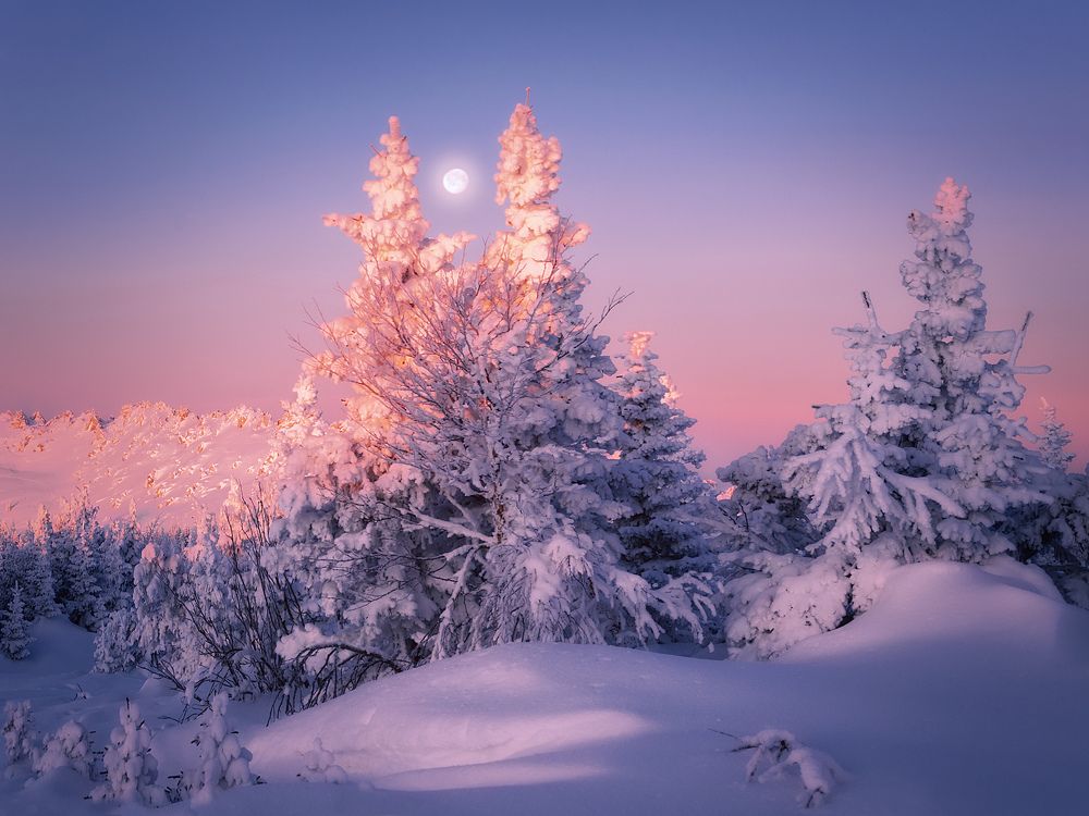 В первых лучах солнца